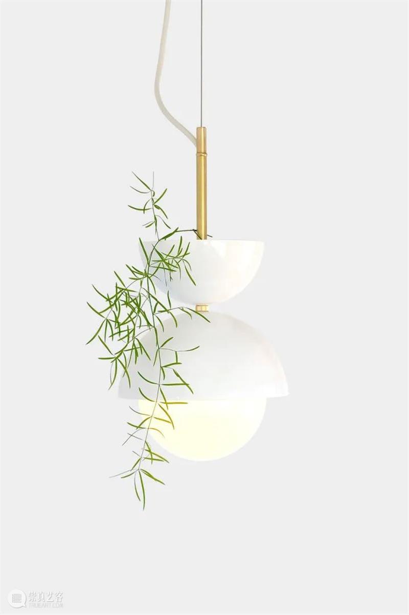 设计未来丨释放“亲生物设计”的自然想象 崇真艺客