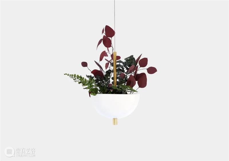 设计未来丨释放“亲生物设计”的自然想象 崇真艺客