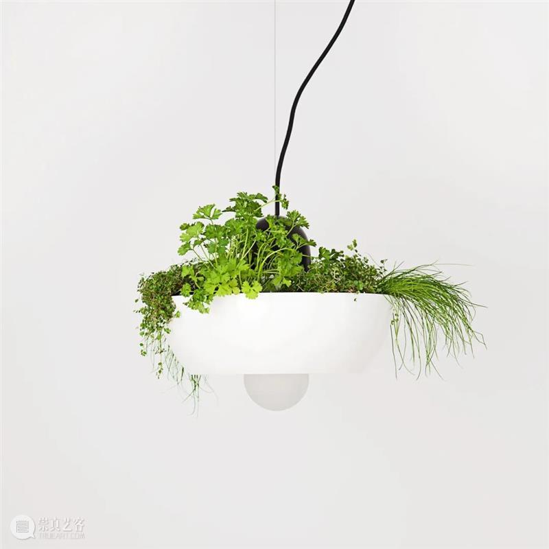 设计未来丨释放“亲生物设计”的自然想象 崇真艺客