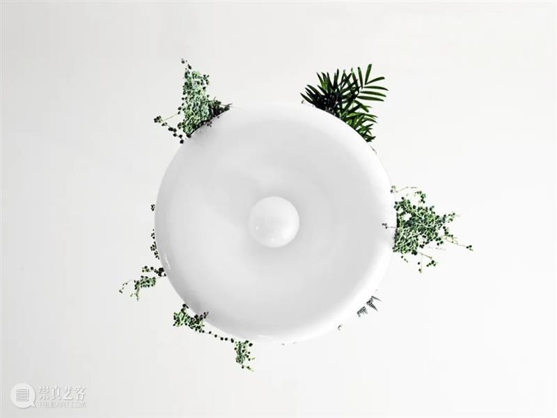 设计未来丨释放“亲生物设计”的自然想象 崇真艺客