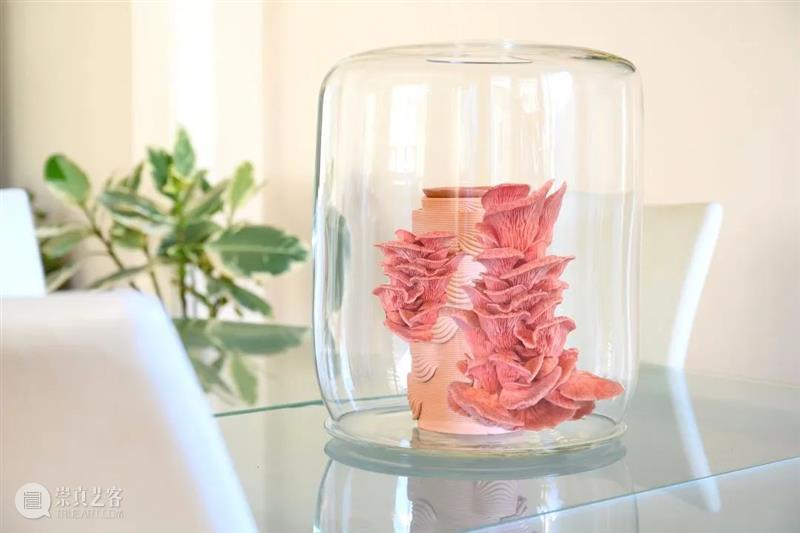 设计未来丨释放“亲生物设计”的自然想象 崇真艺客