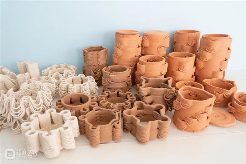 设计未来丨释放“亲生物设计”的自然想象 崇真艺客