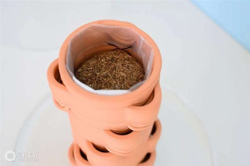 设计未来丨释放“亲生物设计”的自然想象 崇真艺客