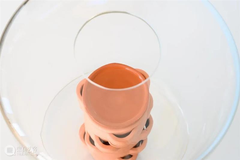 设计未来丨释放“亲生物设计”的自然想象 崇真艺客