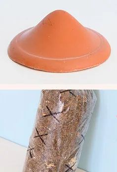 设计未来丨释放“亲生物设计”的自然想象 崇真艺客