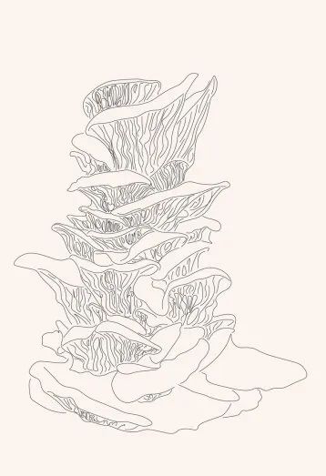 设计未来丨释放“亲生物设计”的自然想象 崇真艺客