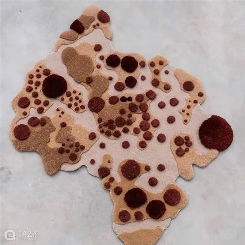 设计未来丨释放“亲生物设计”的自然想象 崇真艺客