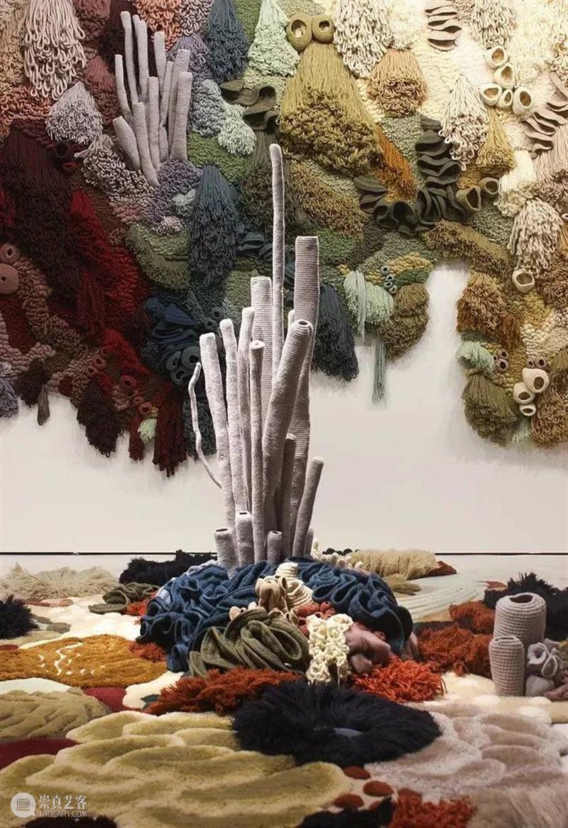 设计未来丨释放“亲生物设计”的自然想象 崇真艺客