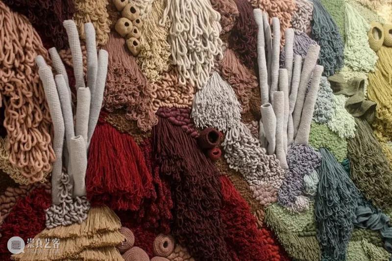 设计未来丨释放“亲生物设计”的自然想象 崇真艺客