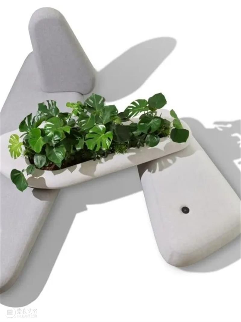 设计未来丨释放“亲生物设计”的自然想象 崇真艺客