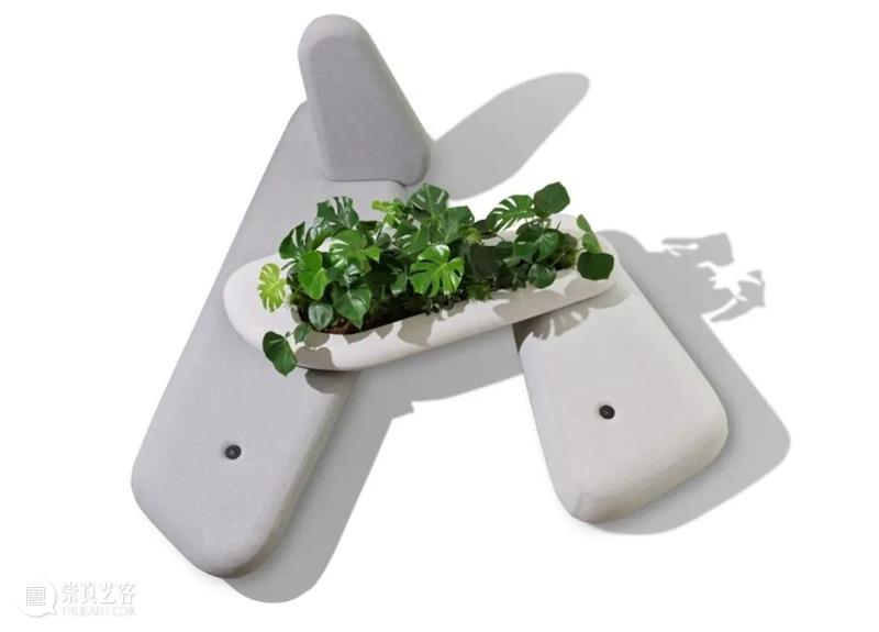 设计未来丨释放“亲生物设计”的自然想象 崇真艺客