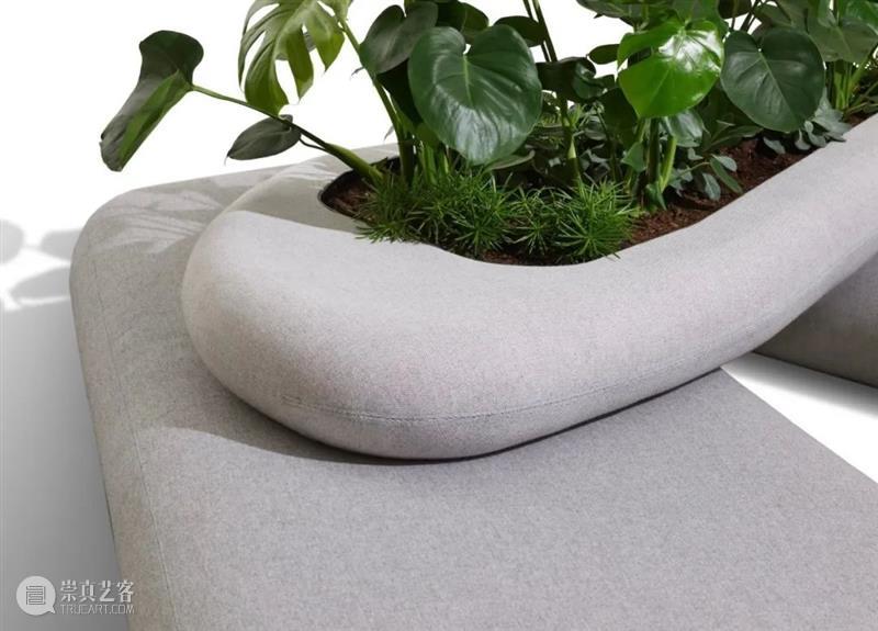 设计未来丨释放“亲生物设计”的自然想象 崇真艺客