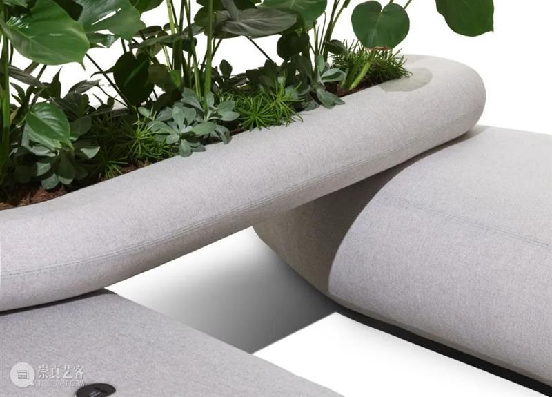 设计未来丨释放“亲生物设计”的自然想象 崇真艺客