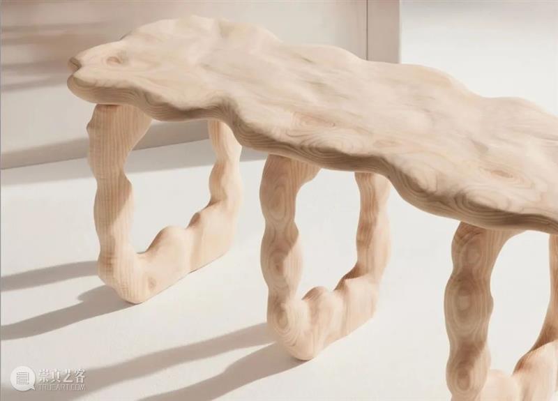 设计未来丨释放“亲生物设计”的自然想象 崇真艺客