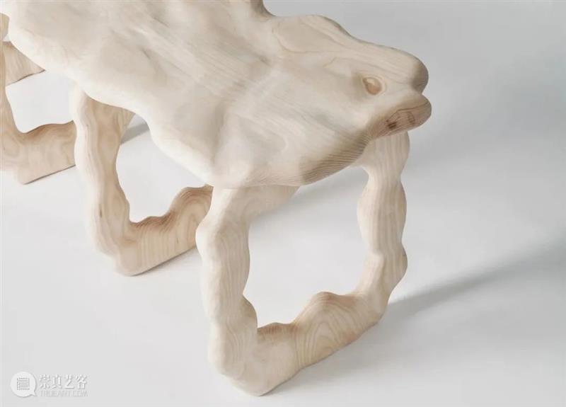 设计未来丨释放“亲生物设计”的自然想象 崇真艺客