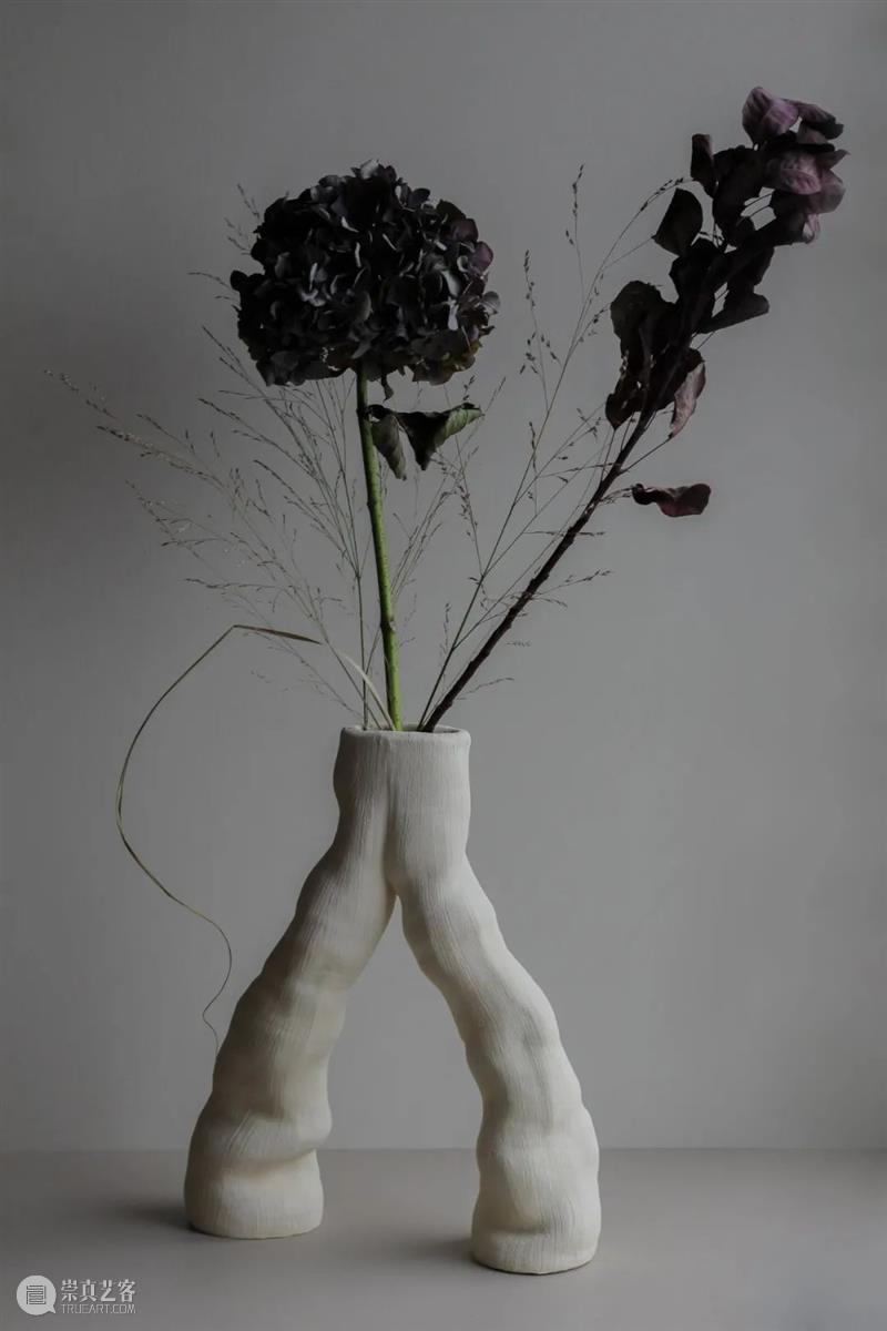 设计未来丨释放“亲生物设计”的自然想象 崇真艺客