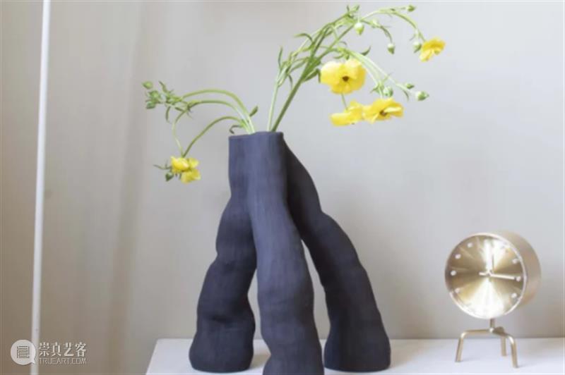 设计未来丨释放“亲生物设计”的自然想象 崇真艺客