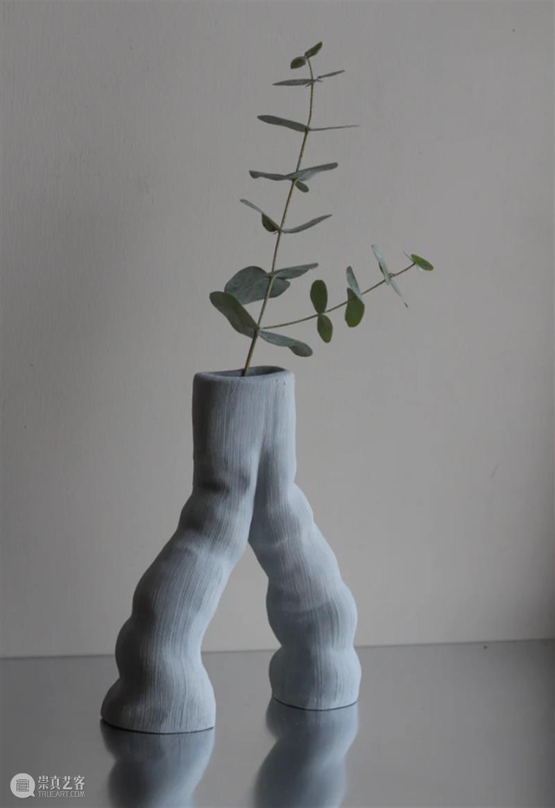 设计未来丨释放“亲生物设计”的自然想象 崇真艺客