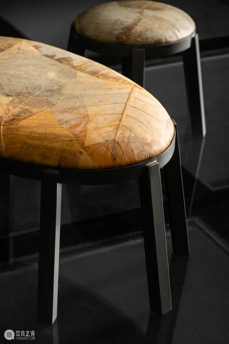 设计未来丨释放“亲生物设计”的自然想象 崇真艺客