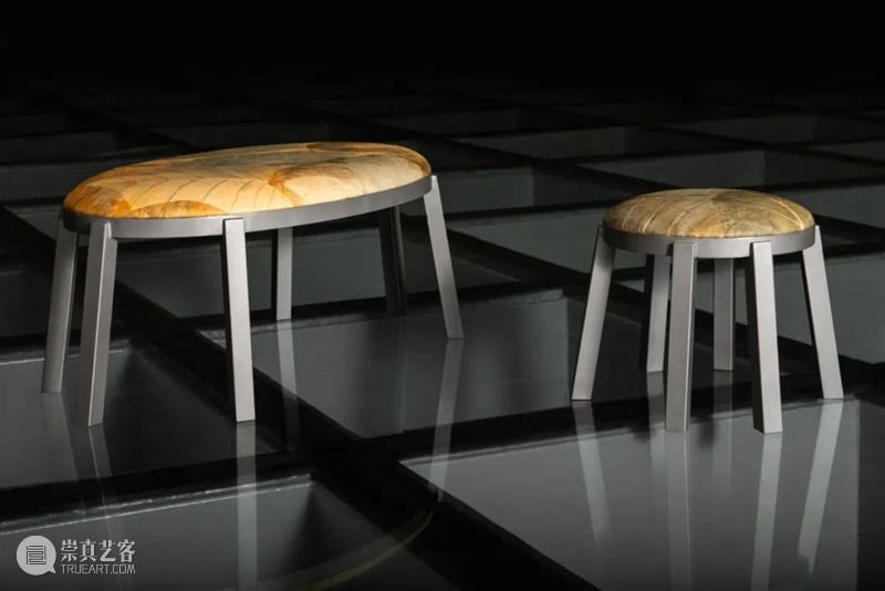 设计未来丨释放“亲生物设计”的自然想象 崇真艺客