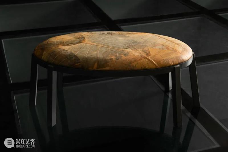 设计未来丨释放“亲生物设计”的自然想象 崇真艺客