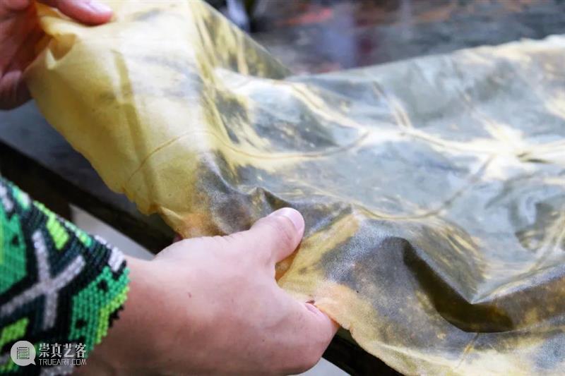 设计未来丨释放“亲生物设计”的自然想象 崇真艺客