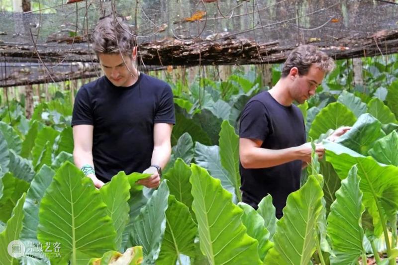 设计未来丨释放“亲生物设计”的自然想象 崇真艺客