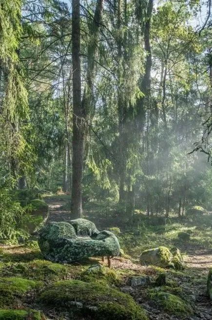 设计未来丨释放“亲生物设计”的自然想象 崇真艺客