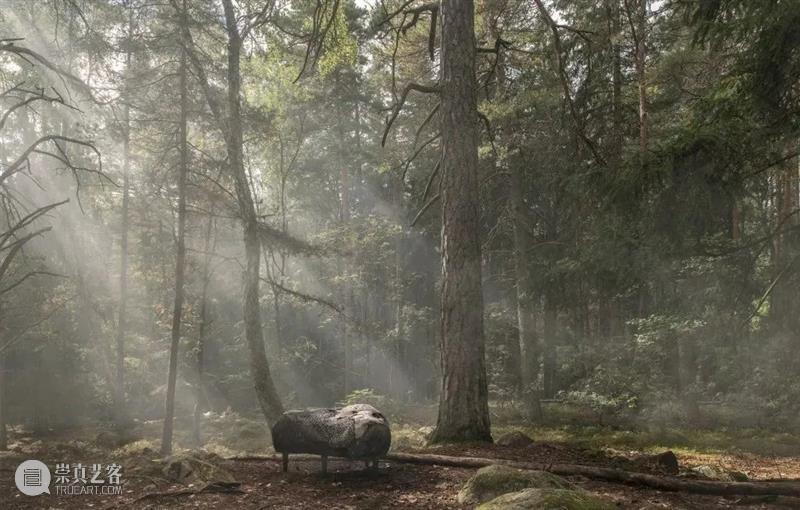 设计未来丨释放“亲生物设计”的自然想象 崇真艺客