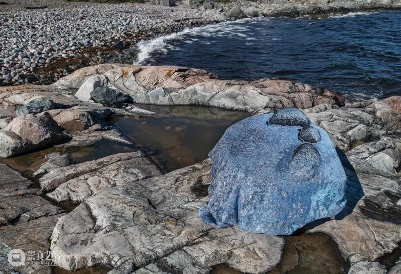 设计未来丨释放“亲生物设计”的自然想象 崇真艺客