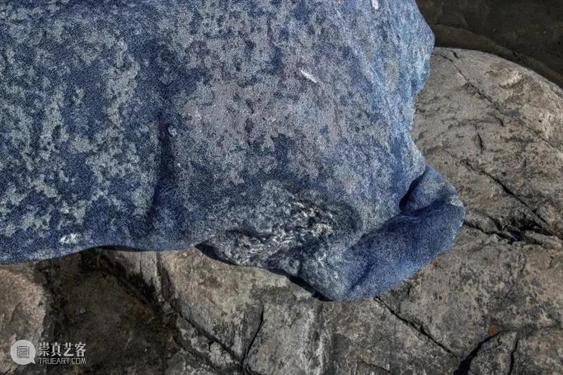 设计未来丨释放“亲生物设计”的自然想象 崇真艺客