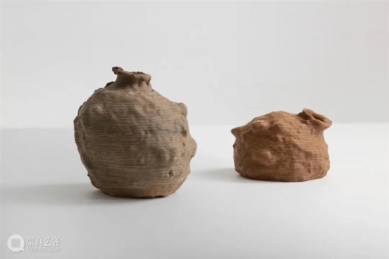 设计未来丨释放“亲生物设计”的自然想象 崇真艺客