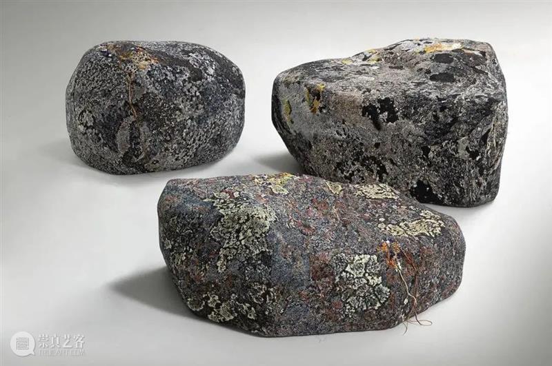 设计未来丨释放“亲生物设计”的自然想象 崇真艺客