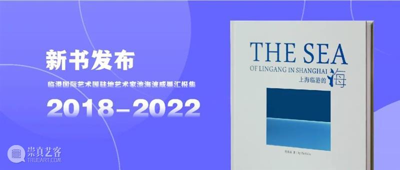临港新片区从上海走向国际，用镜头展现“海湖韵”之美 崇真艺客