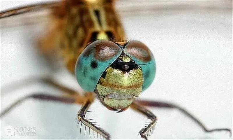 出土蜻蜓眼 ,小珠子大文化! 崇真艺客