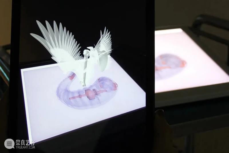 时代·专题| 在虚拟世界中重构生命  北京时代美术馆 崇真艺客