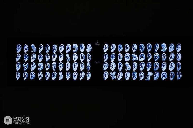 时代·专题| 在虚拟世界中重构生命  北京时代美术馆 崇真艺客