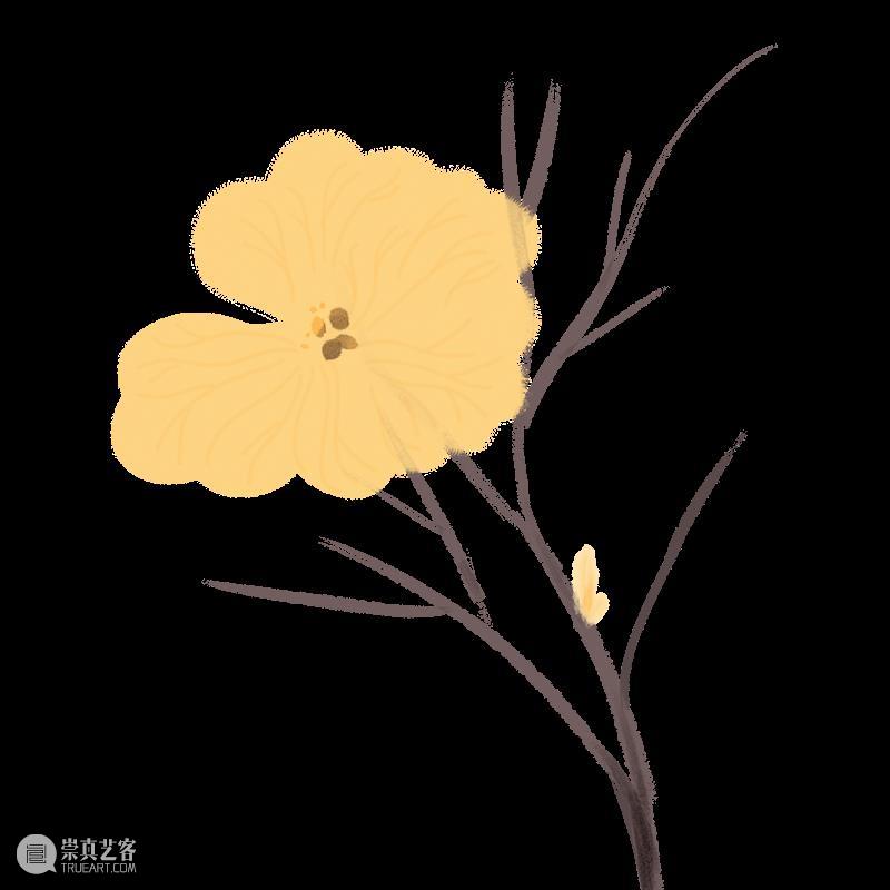图书馆十五岁啦！十一月活动精彩纷呈，不容错过！ Boletín cultural noviembre 崇真艺客