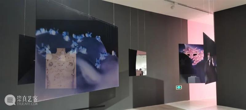 蜕变 | 陈悟个展《看见我》感人至深开幕 崇真艺客