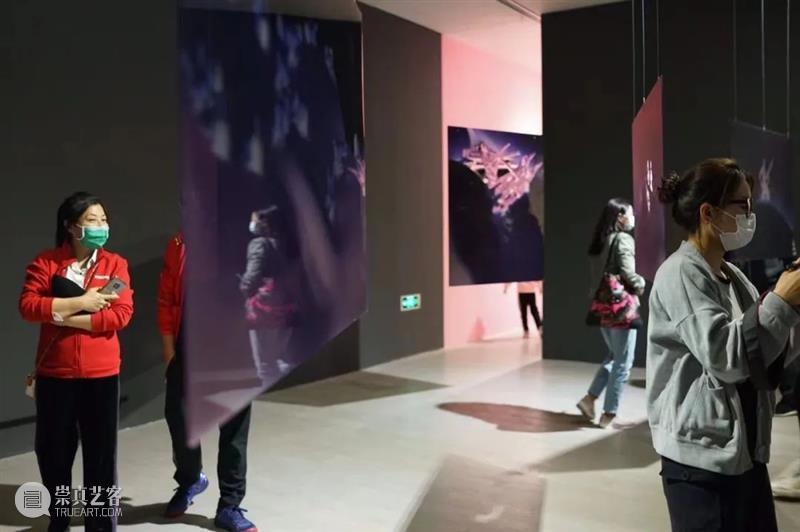 蜕变 | 陈悟个展《看见我》感人至深开幕 崇真艺客