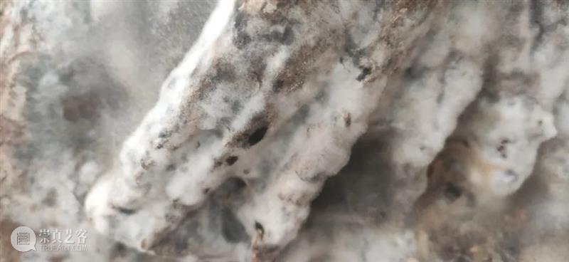 【OCAT 上海馆 | 展览预告】王郁洋:液体的月亮,长在墙上的汽车,以及介于两者之间的其他一切 崇真艺客