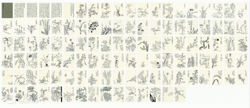 Current Exhibition | Learning from the Rainforest 崇真艺客