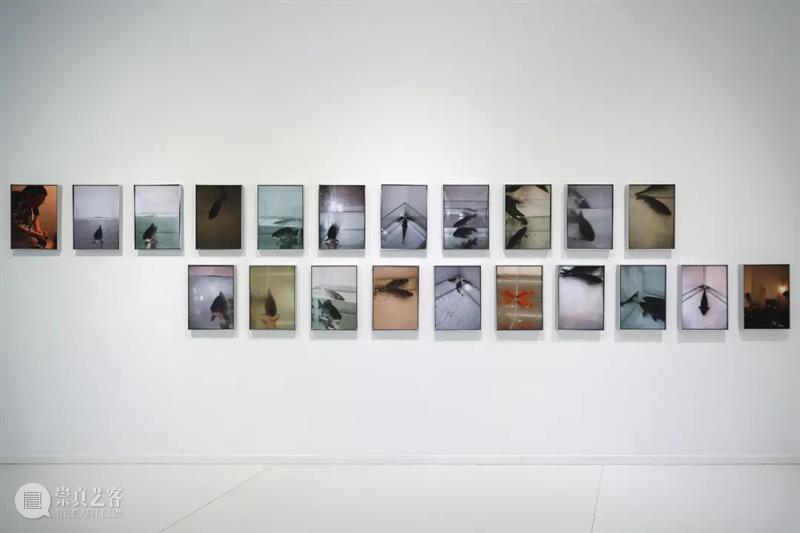正在进行 In Progress  |  存在与重复Existence and Repetition——当代艺术十三人邀请展 崇真艺客