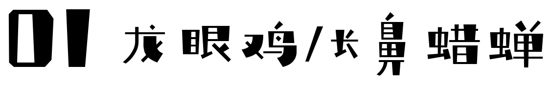 线上展示 | 「童年虫虫博物馆」这些作品入选啦! 崇真艺客