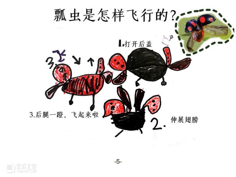线上展示 | 「童年虫虫博物馆」这些作品入选啦！ 崇真艺客