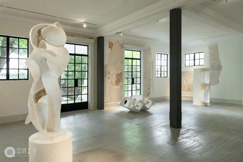 艺术家|苏畅:渐融与共生|近期项目及雕塑实验回顾 崇真艺客