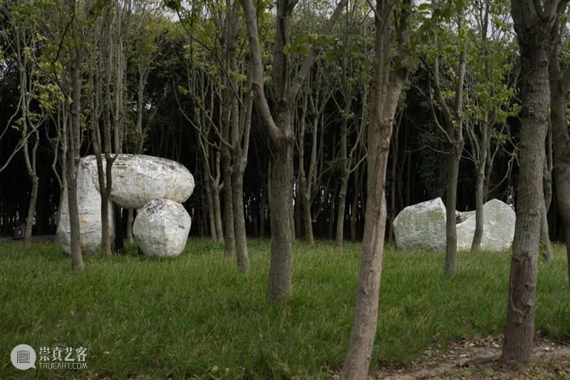 艺术家｜苏畅：渐融与共生｜近期项目及雕塑实验回顾 崇真艺客