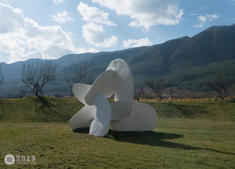 艺术家|苏畅:渐融与共生|近期项目及雕塑实验回顾 崇真艺客