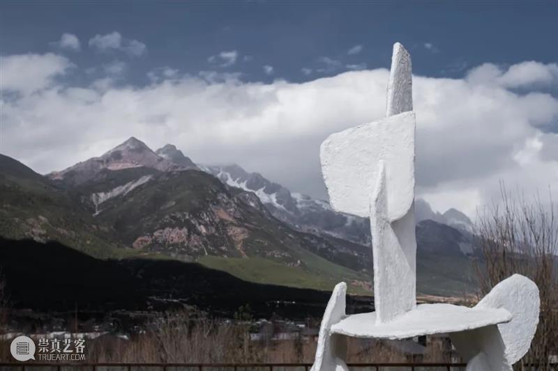 艺术家|苏畅:渐融与共生|近期项目及雕塑实验回顾 崇真艺客