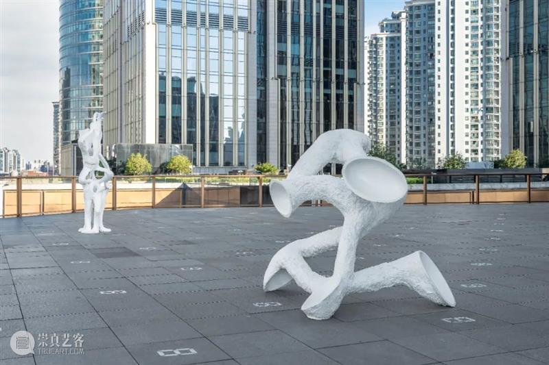 艺术家|苏畅:渐融与共生|近期项目及雕塑实验回顾 崇真艺客